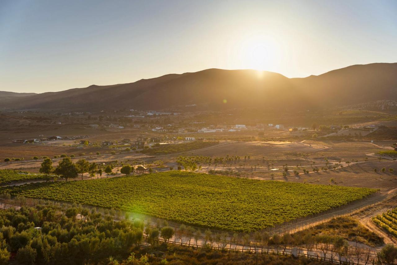 Banyan Tree Veya, Valle De Guadalupe - A Wellbeing & Wine Resort 外观 照片