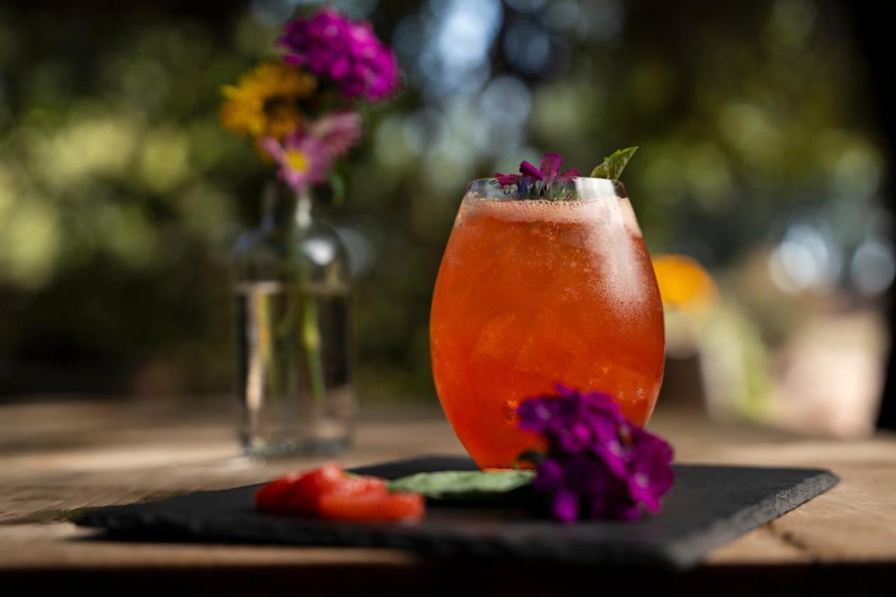 Banyan Tree Veya, Valle De Guadalupe - A Wellbeing & Wine Resort 外观 照片