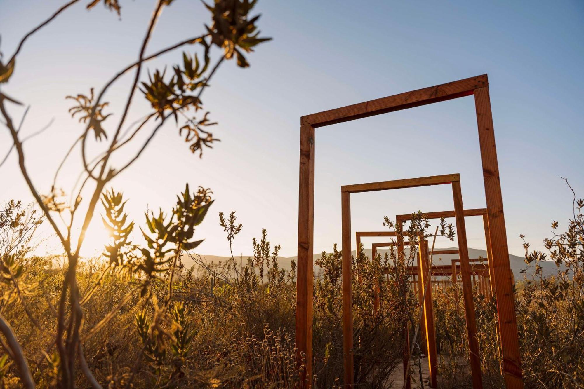 Banyan Tree Veya, Valle De Guadalupe - A Wellbeing & Wine Resort 外观 照片